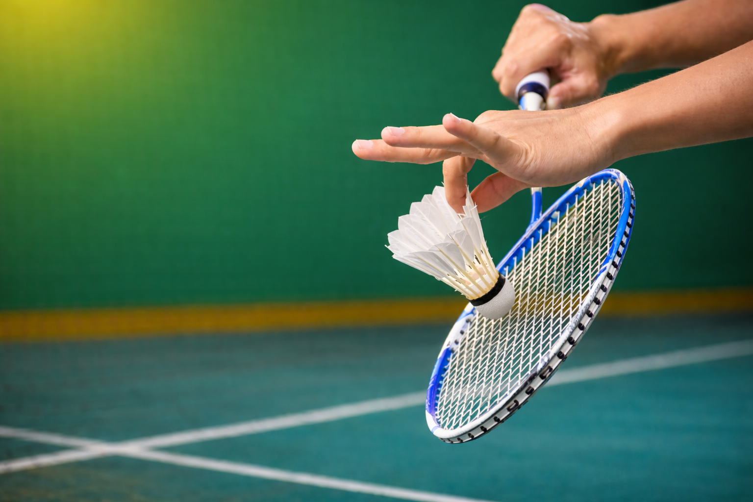 professional badminton player